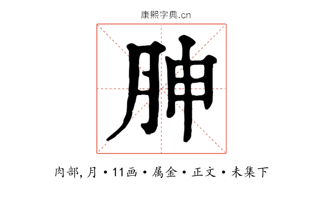 胂