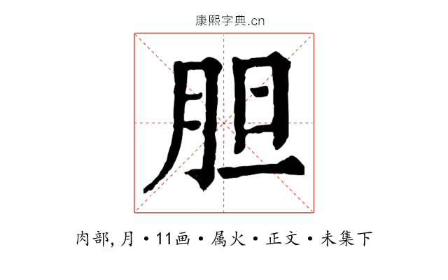 胆