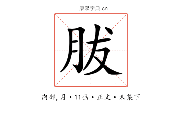 胈
