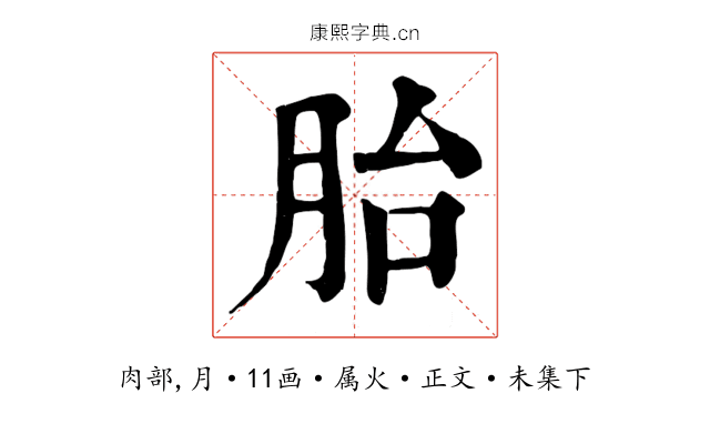 胎
