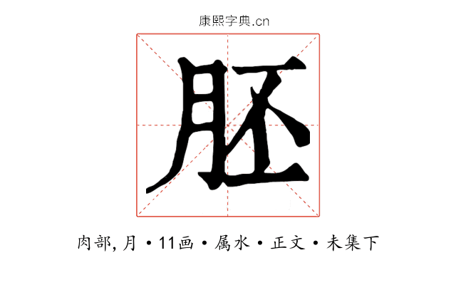 胚