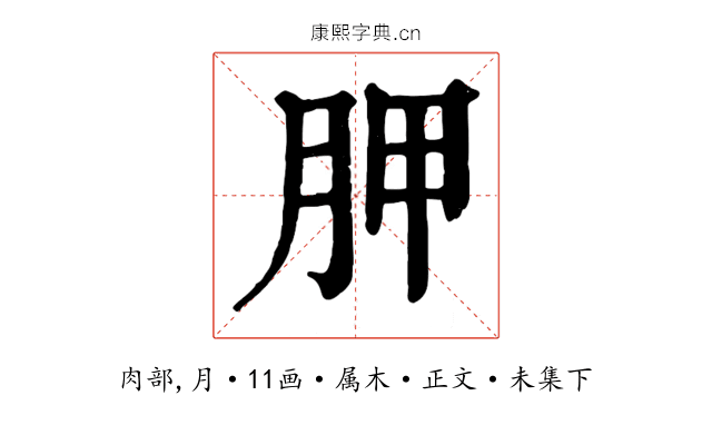 胛
