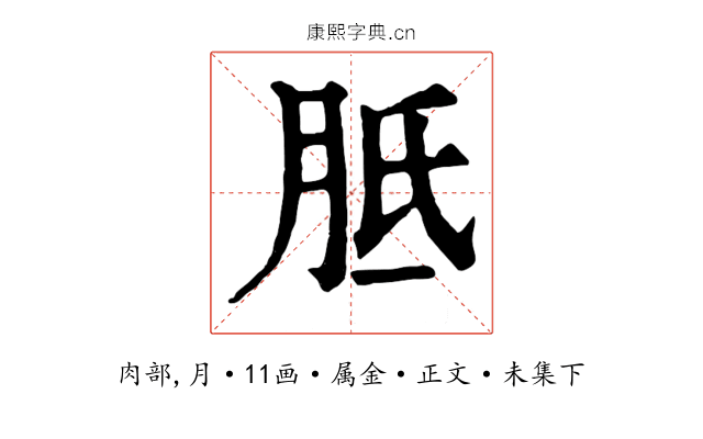 胝