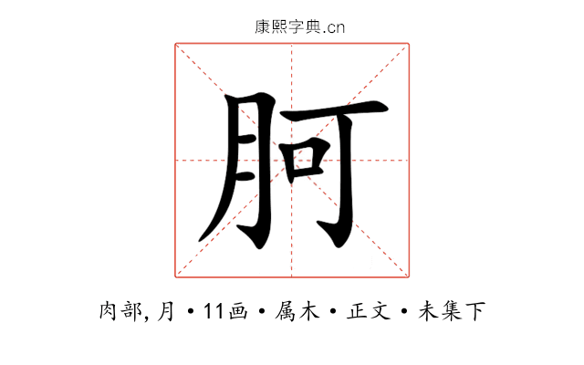 胢