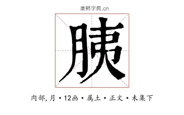 胰
