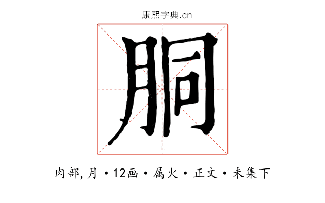 胴