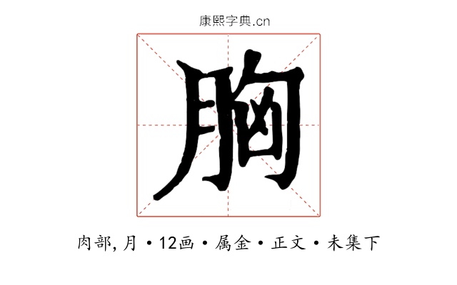 胸