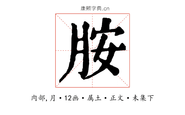胺