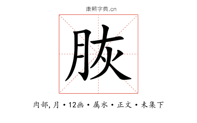 脄