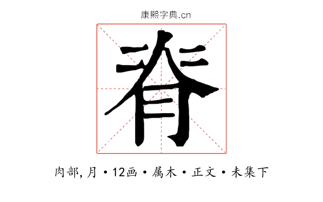 脊