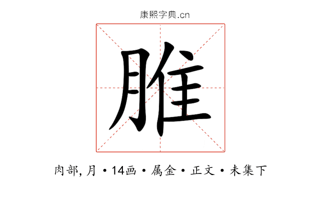 脽
