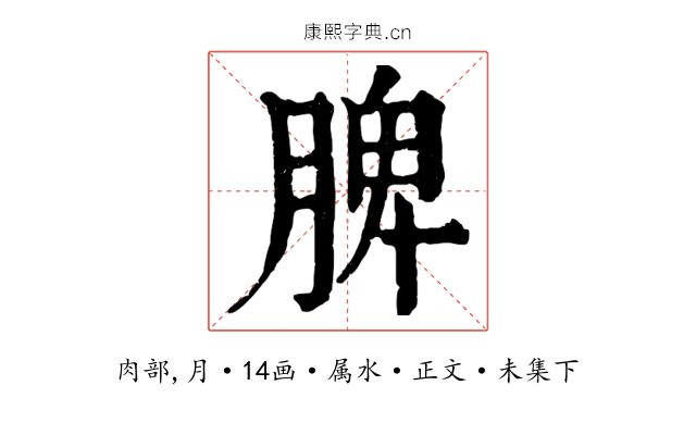 脾