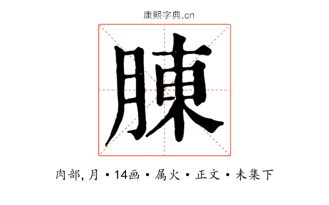腖