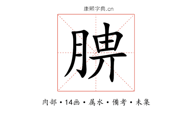 腗