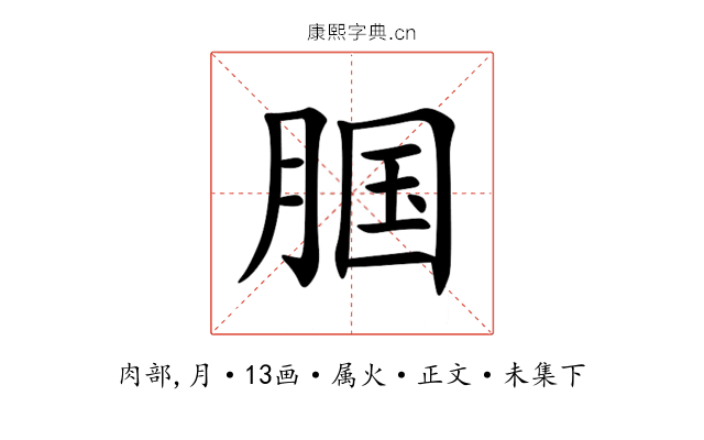 腘