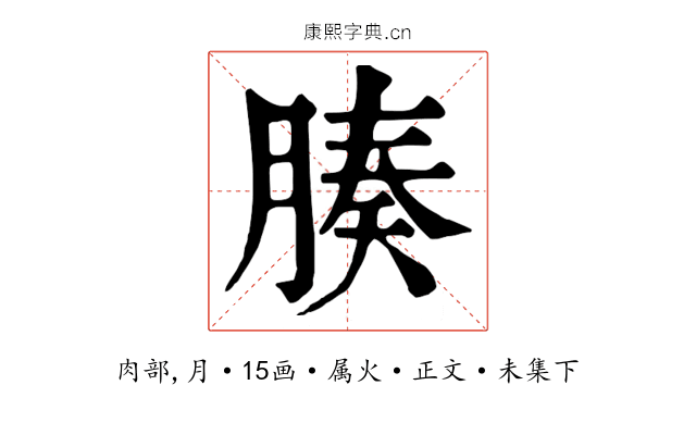 腠