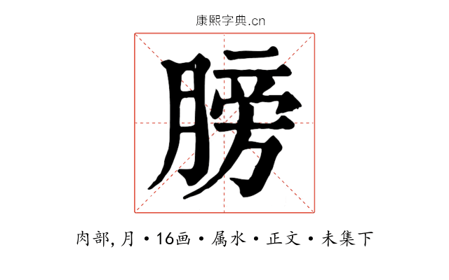 膀
