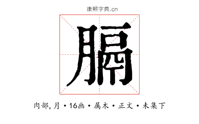 膈
