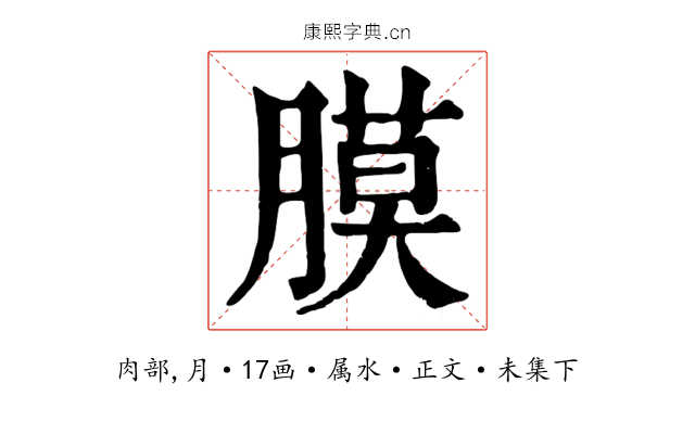 膜