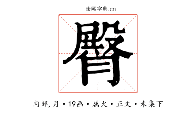 臀