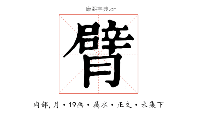 臂