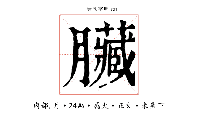 臟