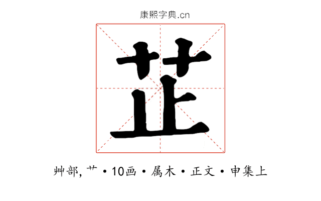 芷