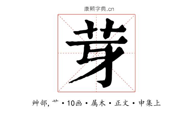 芽