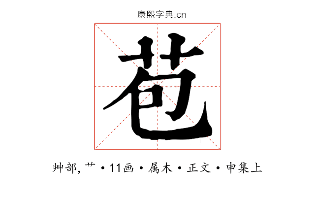 苞