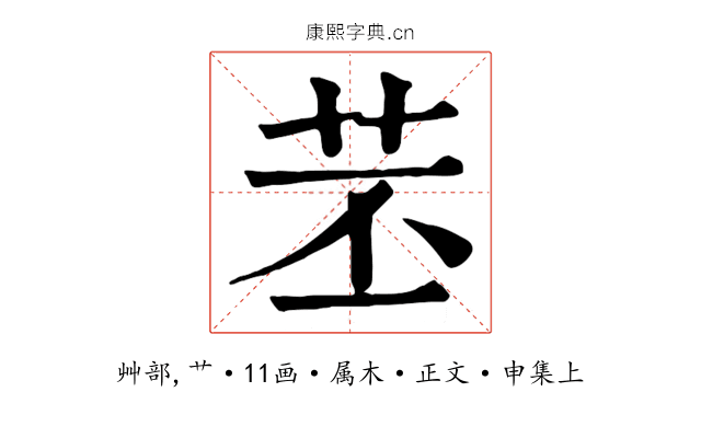 苤