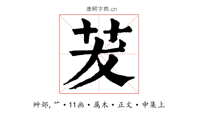 茇