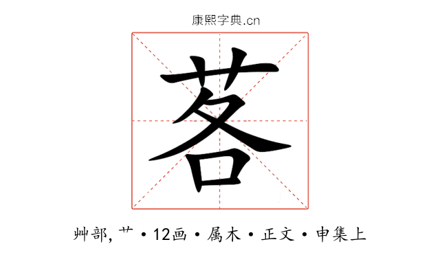 茖