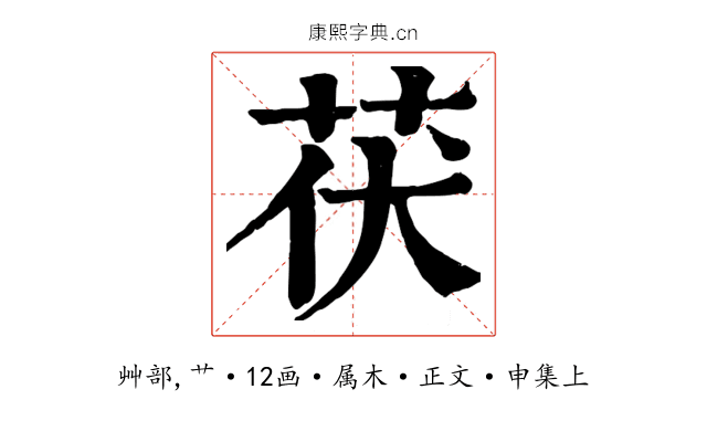 茯