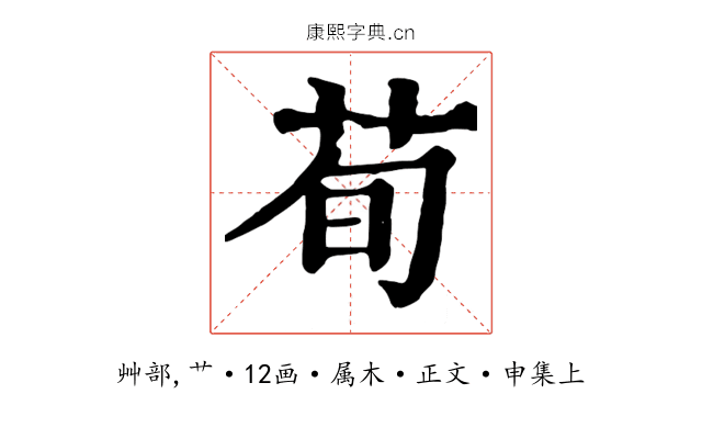 荀