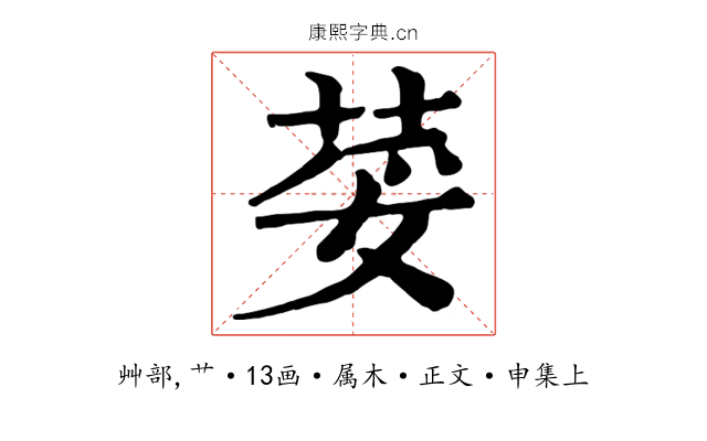 荽