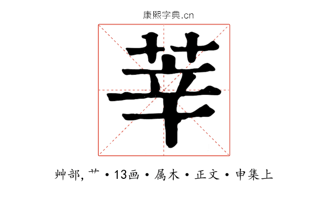 莘