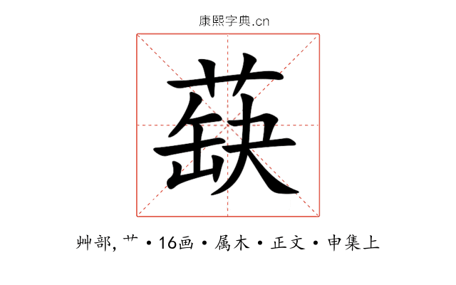 蒛