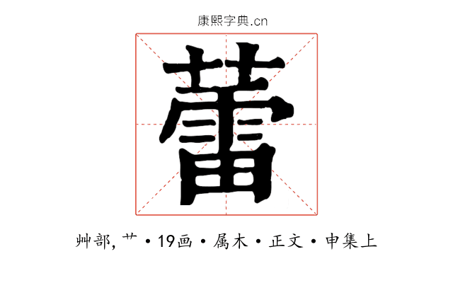 蕾
