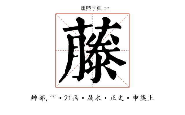 藤