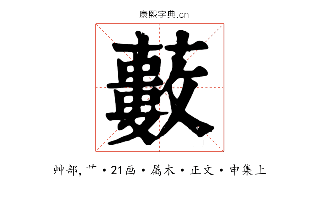 藪