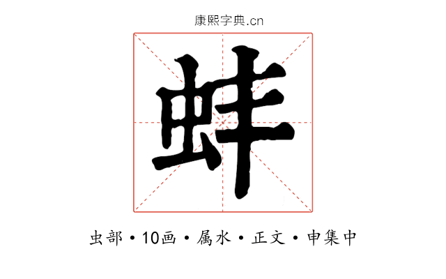 蚌