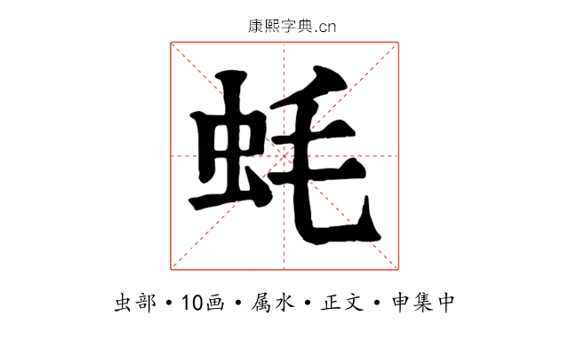 蚝