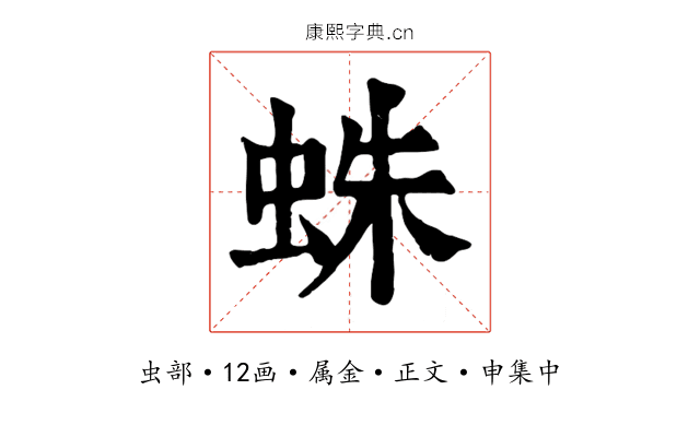 蛛