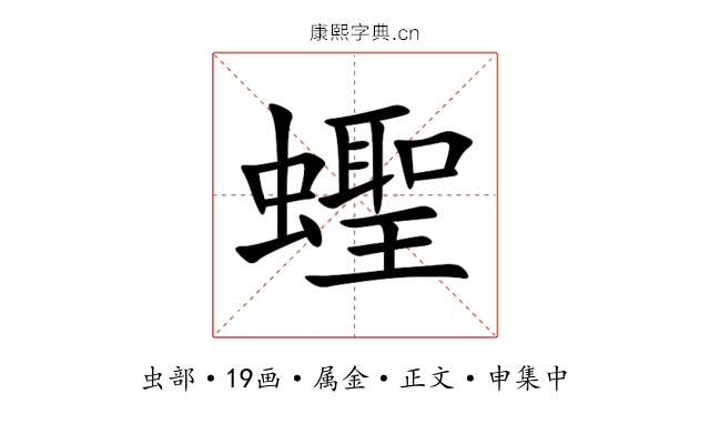 蟶
