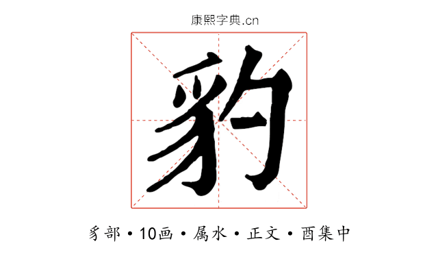 豹