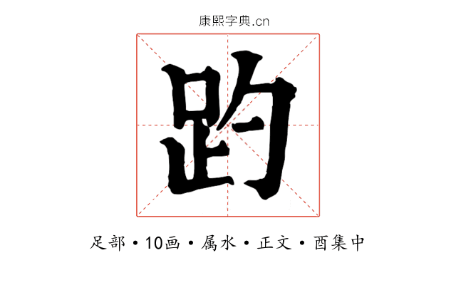 趵