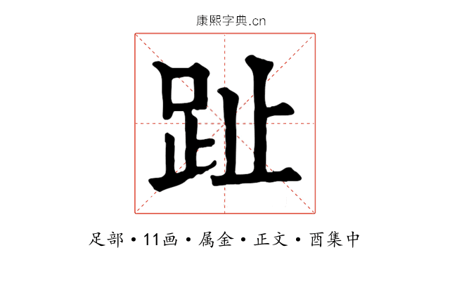 趾