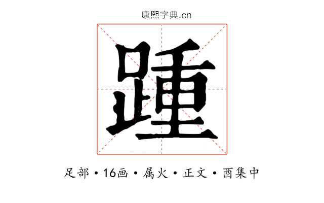 踵