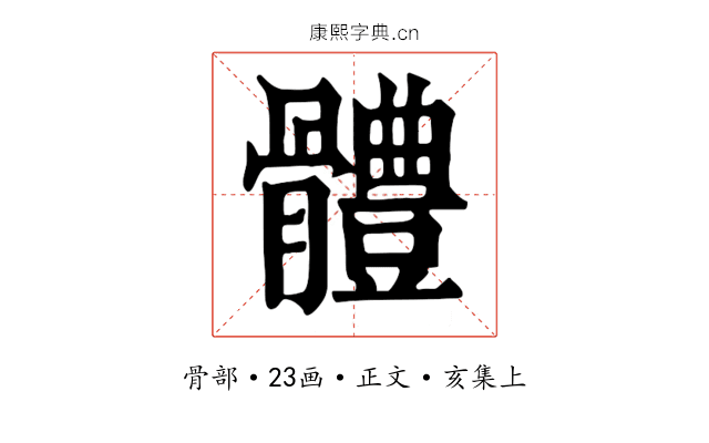 體