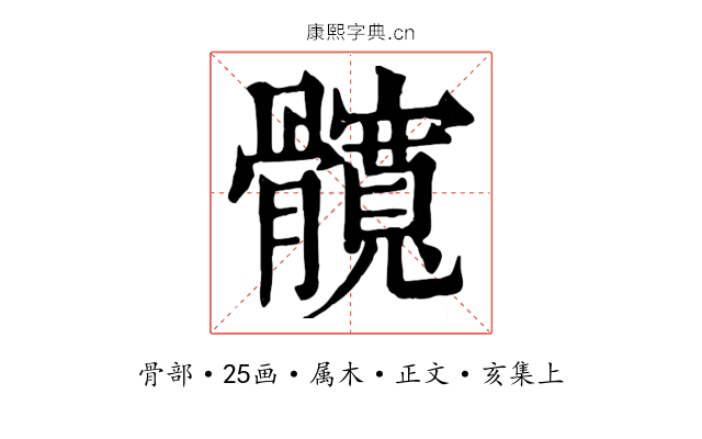 髖